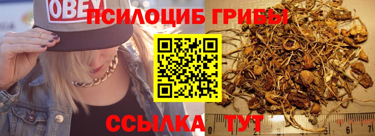 Псилоцибиновые грибы GOLDEN TEACHER Бутурлиновка