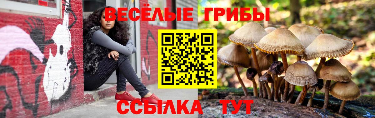 Псилоцибиновые грибы Psilocybe  Галлюциногенные грибы Psilocybine cubensis  Вход с VPN  Бутурлиновка 